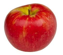 Appelhof opleidingen